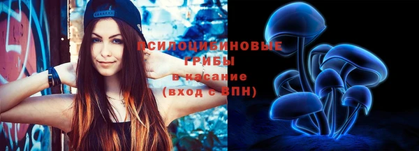 PSILOCYBIN Балахна