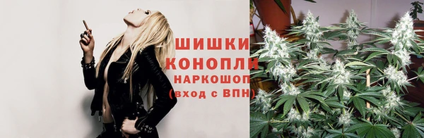 PSILOCYBIN Балахна