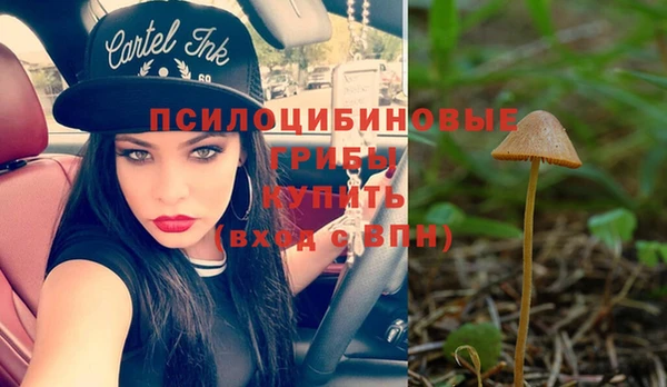 PSILOCYBIN Балахна