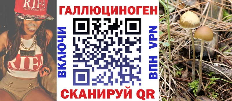 Галлюциногенные грибы GOLDEN TEACHER  гидра как войти  Гаврилов-Ям  купить наркотики цена 